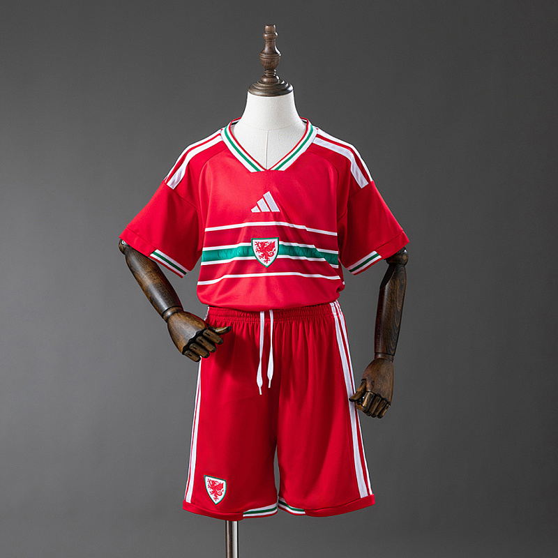 Galles Wales 2026 Home Kids Kit Jersey Size 16-28