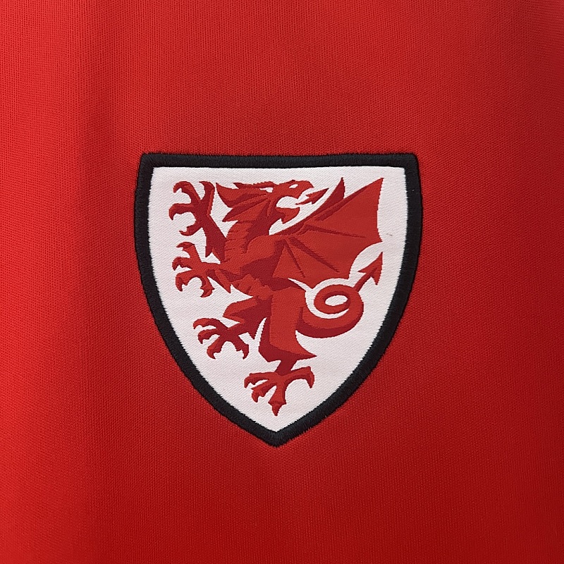Galles Wales Home S-XXL 4