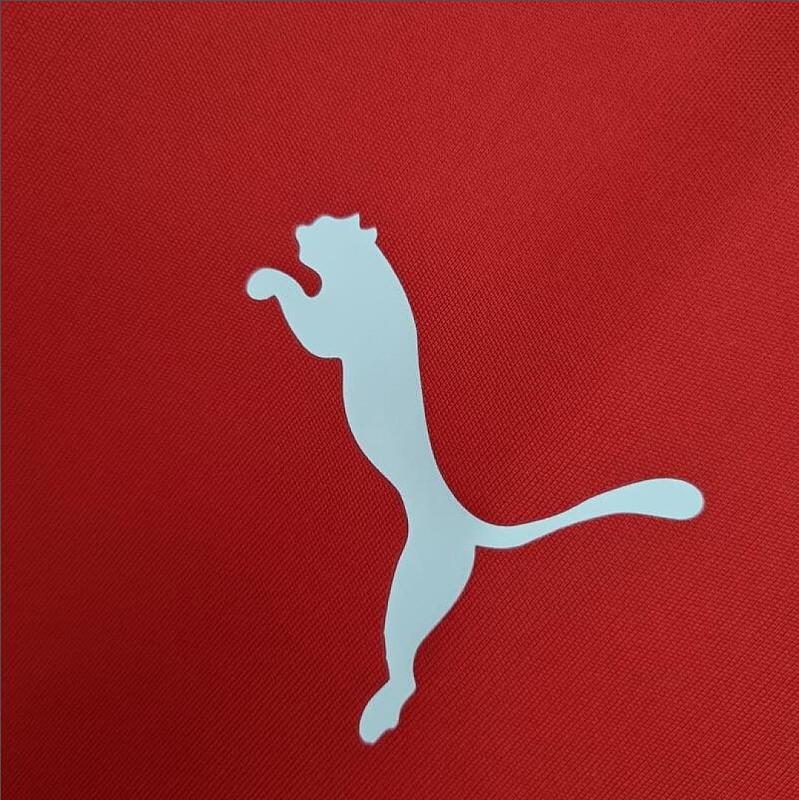 2014 Chile Retro 2014 Chile home S-XXL 4
