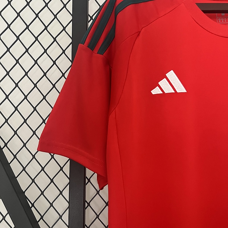 Galles Wales Home S-XXL 5