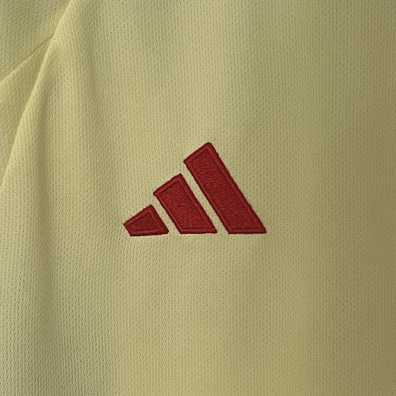 Galles Wales Away S-XXL 3