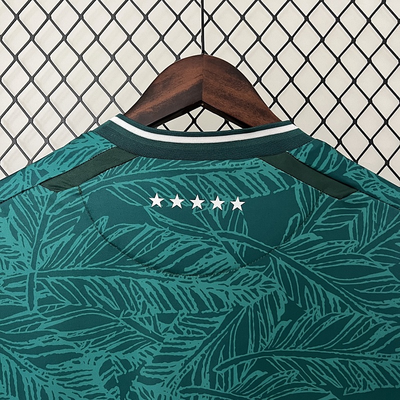 Santiago Wanderers 24/25 Santiago Wanderers Home S-XXL 9